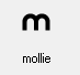 common:handling_mollie.png